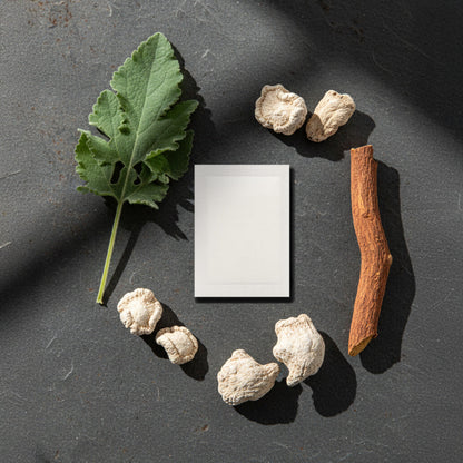 KUBOZN® Targeted Lung Cleansing Patch